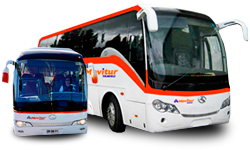 Buses Movitur